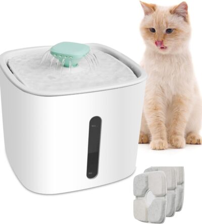 Drinking Dispenser for Pets Indoor